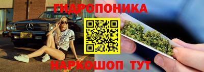ГАЛЛЮЦИНОГЕННЫЕ ГРИБЫ Усть-Джегута